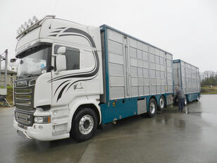 SCANIA R 730 V8 For cattle transport + livestock trailer