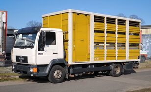 MAN L 2000  12.224  livestock truck