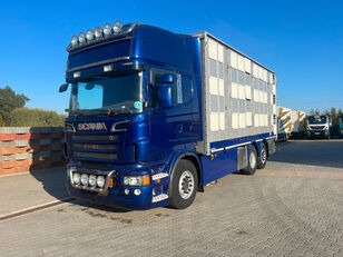 Scania R 620 livestock truck