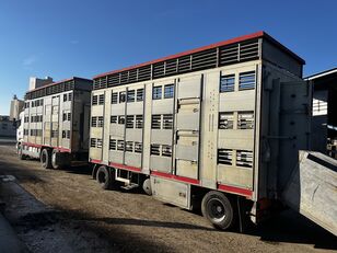 Scania R500 V8 livestock truck + livestock trailer
